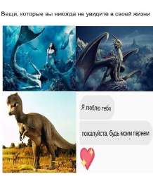 528x604