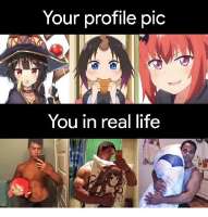 500x522