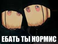 604x453