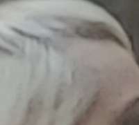 392x356