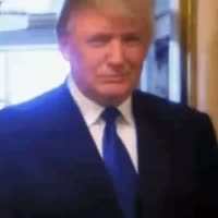 800x800