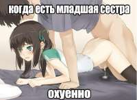 529x387