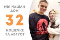 768x512