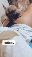 576x1024