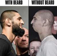 750x739