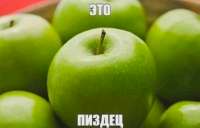 828x530