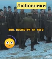 480x548