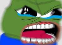 600x439