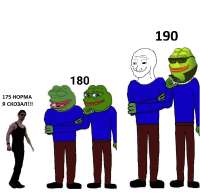 1262x1228