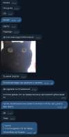 446x881