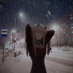 736x736