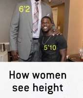589x692