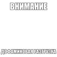 736x736