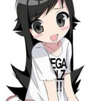 736x736