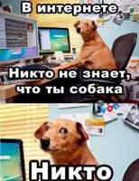600x778