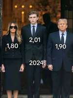 810x1077