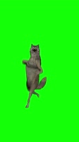 720x1280