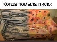 828x618