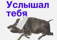 600x421