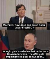 382x444
