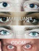 500x656