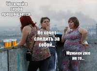 608x447