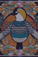 600x900
