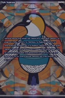 600x900