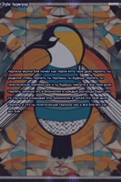 600x900