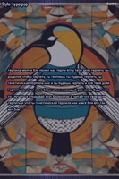 600x900