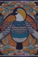 600x900