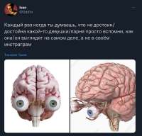 1280x1233