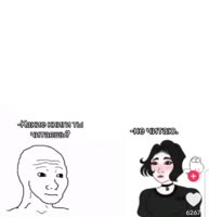 496x512