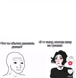 496x512