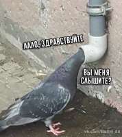 441x495
