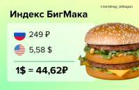 1191x769
