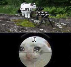 676x637