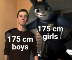 874x735