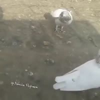 360x360