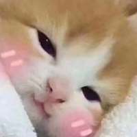 300x300