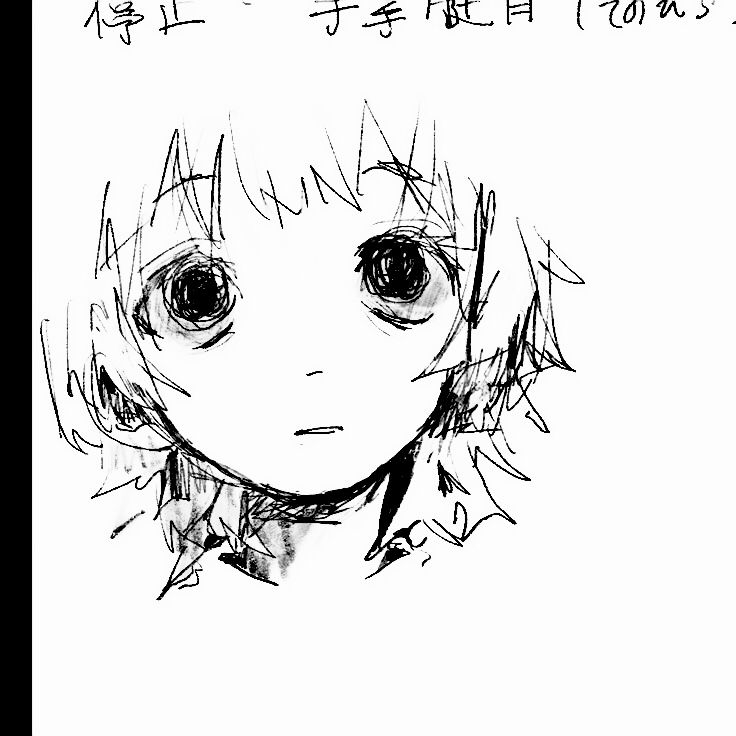 736x736