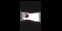 480x240