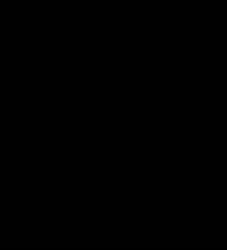 480x528
