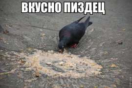 79