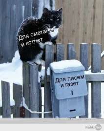 420x530