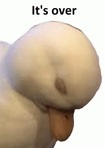 351x494