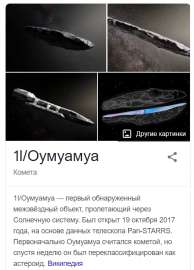 482x669