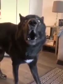 320x422