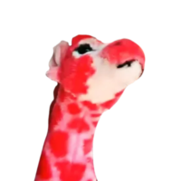 512x512