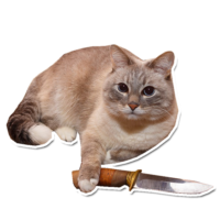 512x512